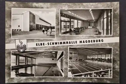 Magdeburg, 4 Ansichten der Elbe-Schwimmhalle, Wappen - 421229