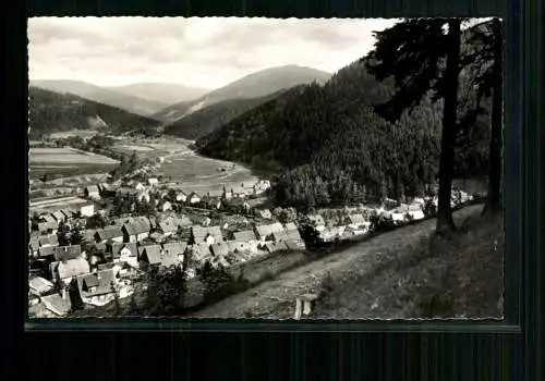 Lautenthal im Oberharz, Blick vom Schulberg - 412686