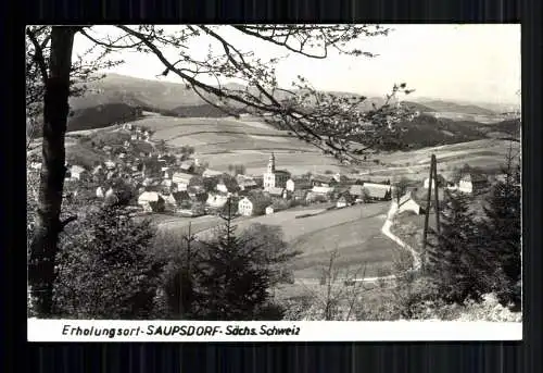 Saupsdorf/Sächs. Schweiz, Blick auf den Ort - 419442