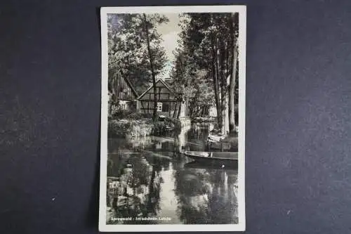 Lehde/Spreewald, Teilansicht - 419676