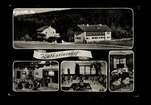 Treffelstein/Bay. Wald, Hotel Katharinenhof - 414371