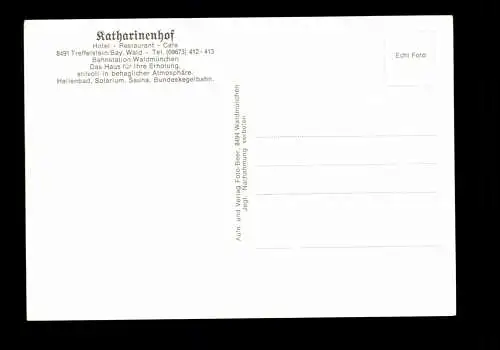 Treffelstein/Bay. Wald, Hotel Katharinenhof - 414371