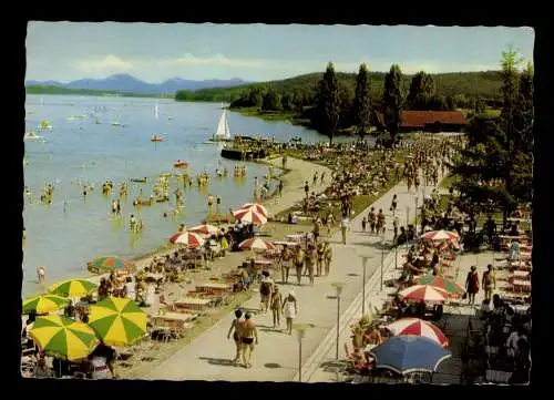 Waginger See, Oberbayern, Seepromenade - 414526