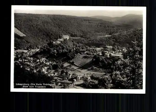 Schwarzburg i. Thür., Blick vom Trippstein - 415422