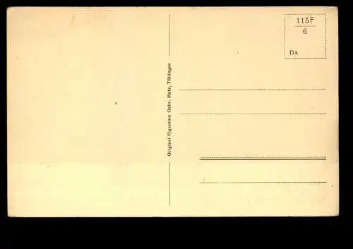 Tiefenstein, OT von Görwihl, 2 Ortsansichten - 415535