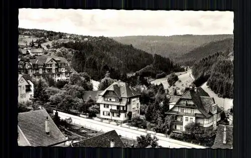 Freudenstadt / Schwarzwald, Blick ins Christophtal - 416306