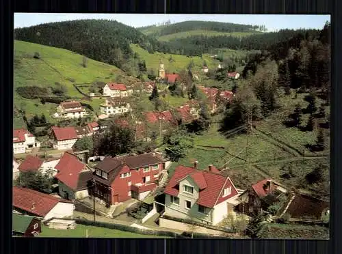 Wildemann/Oberharz, Blick auf den Ort - 417746