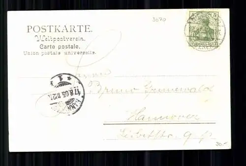 Oyle, LK Nienburg, Oyler Berg, Waldwirtschaft von H. Strassburg - 417971