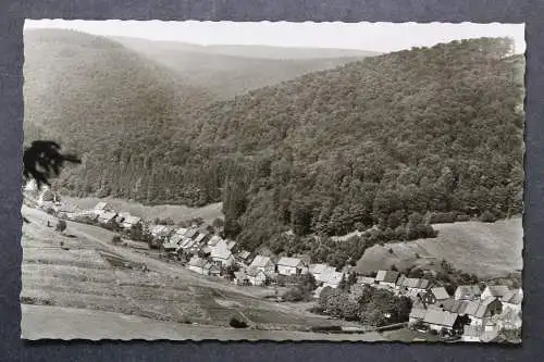 Lonau/Harz, Herzberg, Blick vom Heuer - 424201