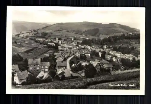 Steinach/Thür. Wald, Blick auf den Ort - 419397