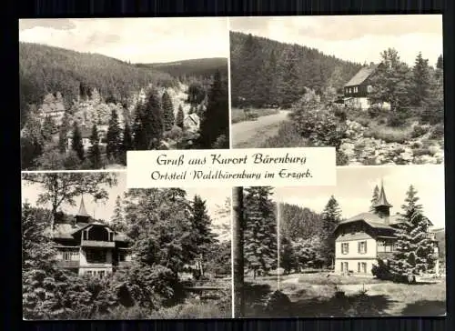 Waldbärenburg, Erzgeb., OT von Bärenburg, 4 Ortsansichten - 419102