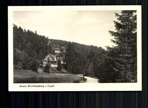 Waldbärenburg, Erzgeb., OT von Altenberg, Teilansicht - 419054