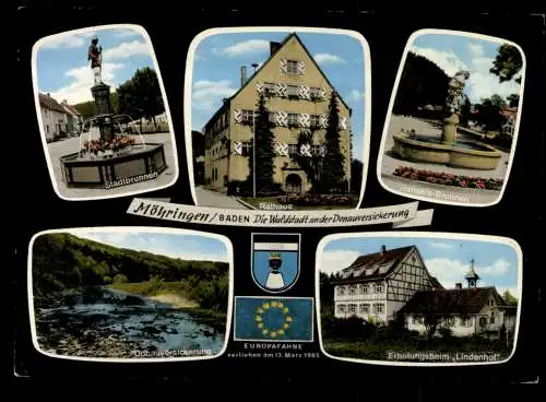 Möhringen/Baden, Brunnen, Rathaus, Erholungsheim Lindenhof, Wappen - 420078