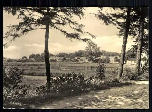 Kleinzerlang, OT von Rheinsberg, Blick zum Ort - 419496