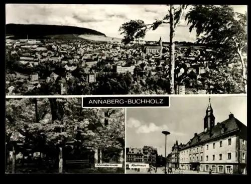 Annaberg-Buchholz/Erzgeb., Teilansicht, Wunderlinde, Rathaus - 419996