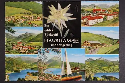 Hausham/Bayer. Alpen, und Umgebung, 8 Bilderkarte, ein echtes Edelweiß - 419648