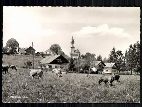 Oberhausen/Obb., Teilansicht, Kirche - 419607