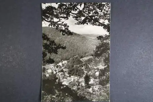 Treseburg/Harz, Blick auf den Ort - 419679