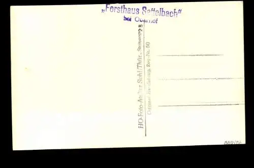 Oberhof, Forsthaus Sattelbach - 420478