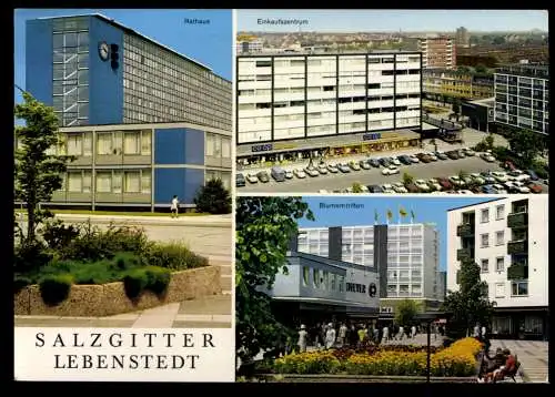 Salzgitter - Lebenstedt, Rathaus, Einkaufszentrum, Blumentriften - 420649