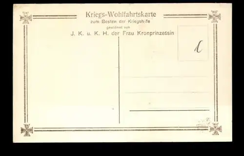 Die Söhne unseres Kronprinzenpaares in Feldgrau - 420900