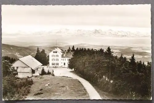 Berghotel Hochblauen, Badenweiler/Schwarzw., Blick auf das Berner Land - 421078