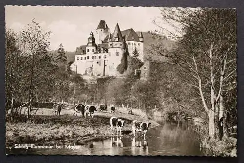 St. Johann, Eifel, Schloß Bürresheim - 421922