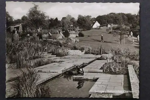 Solingen, Botanischer Garten - 421789