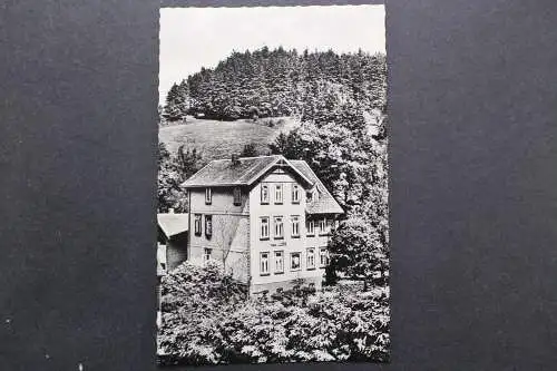 Altenau/Harz, Haus Luise, Pension - Fremdenheim - 421988