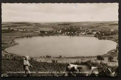 Schalkenmehren, Blick auf das Maar - 422579