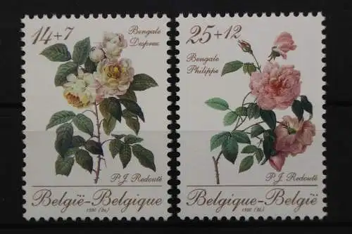 Belgien, MiNr. 2405-2406, postfrisch - 203869