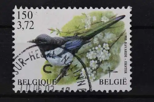 Belgien, MiNr. 3038, gestempelt - 205393