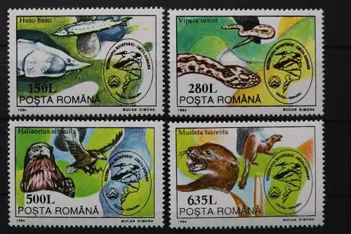 Rumänien, MiNr. 5019-5022, postfrisch - 207320