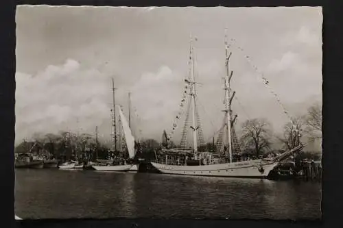 Greifswald-Wieck, Segelschulschiff "Wilhem Pieck" - 423284