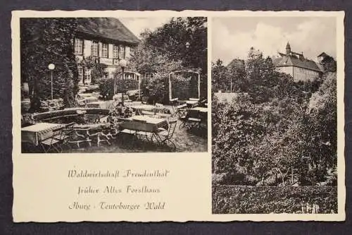 Iburg, Teuto. Wald, Waldwirtschaft "Freudenthal" früher Altes Forsthaus - 424043