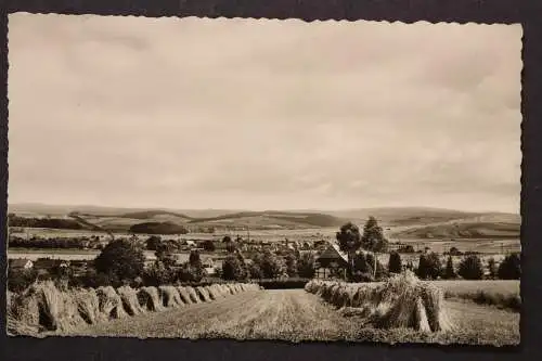 Katlenburg, Blick vom Weinberg auf Berka u. d. Harzberge - 423967