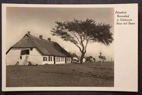 Ostseebad Neuendorf/Hiddensee, Haus mit Baum - 424225