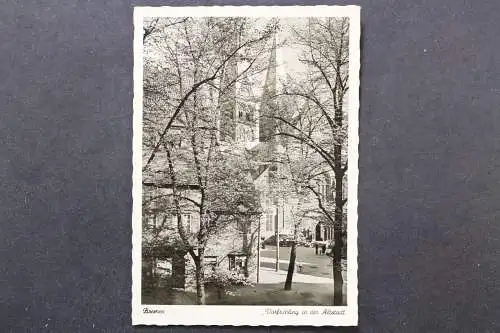 Bremen, Vorfrühling in der Altstadt - 424238