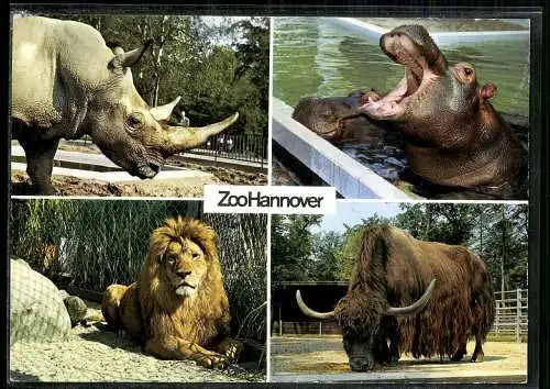 Hannover, Zoo, Tiere - 413205