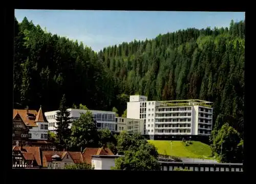 Triberg/Schwarzwald, Hotel Badener Hof - 414662