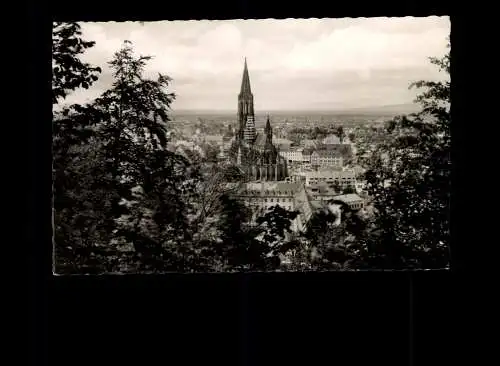 Freiburg i. Breisgau, Blick vom Schloßberg - 414301