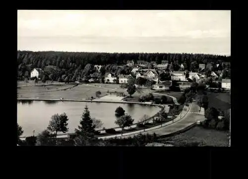 Hahnenklee - Bockswiese, am Kurteich - 414103