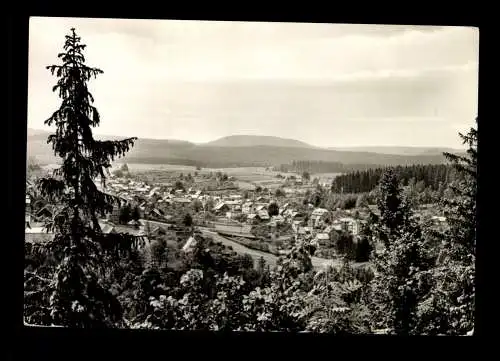 Finsterbergen/Thür., Blick von der Blockhütte am Hainfelsen auf den Ort - 414792