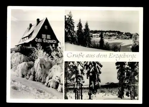 Waldidylle, OT von Altenburg, Fremdenhof und Cafe "Zugspitz" - 414767