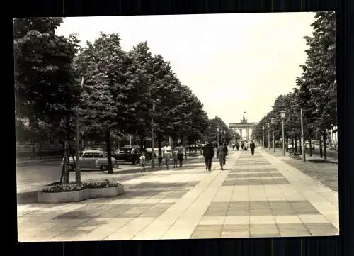 Berlin, Unter den Linden mit Brandenburger Tor - 415475