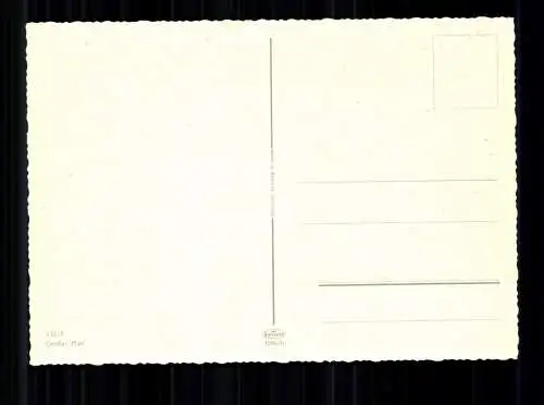 Celle, Großer Plan, Strassenansicht - 416983