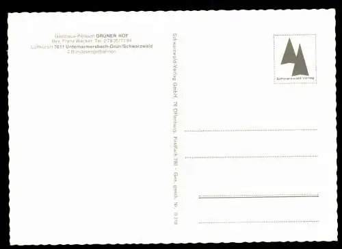 Unterharmersbach-Grün, Schwarzwald, Gasthaus-Pension "Grüner Hof" - 419097