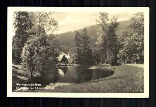 Wernigerode/Harz, Forsthaus im Christianental - 419460