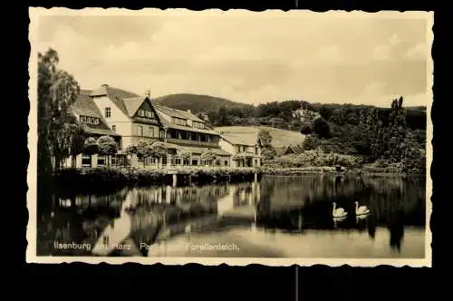 Ilsenburg am Harz, Partie am Forellenteich - 420345