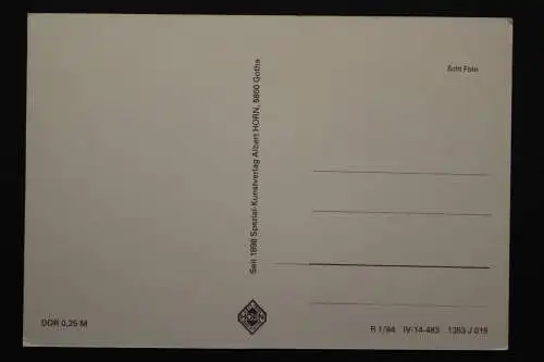 Luisenthal, Erholungsheim Adolf Deter, 3 Innenansichten, Ohratalsperre - 421310